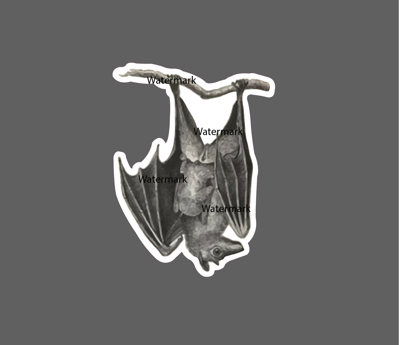 Bat Sticker Chilling Hanging In Cave NEW - Buy Any 4 For $1.75 EACH Storewide! gallery