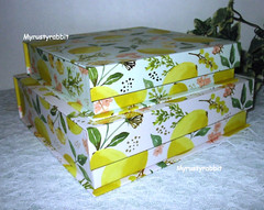 Punch Studio Lemon Keepsake Storage Boxes ~ Set of 2 – 8″ & 9″ Nesting