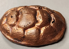 Copper Turtle Shell