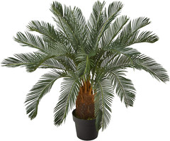 3Ft. Cycas Artificial Tree