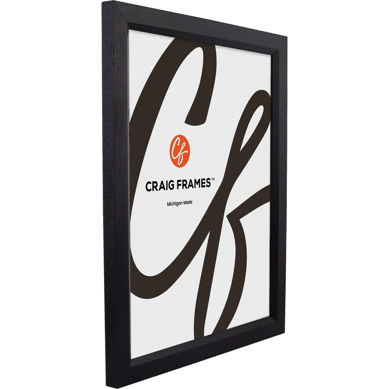 Craig Frames Satin Black Picture Frames & Poster Frames, .8" Wide, Solid Wood gallery