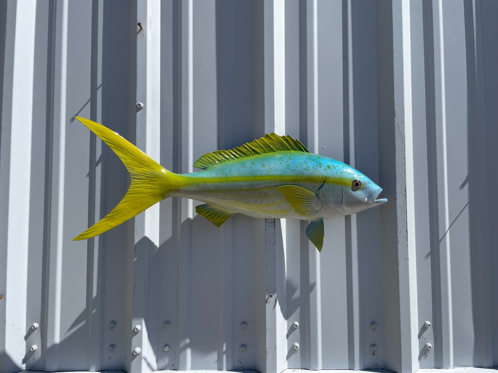 27" Yellowtail Snapper Half Mount Fish Replica - Quick Production gallery