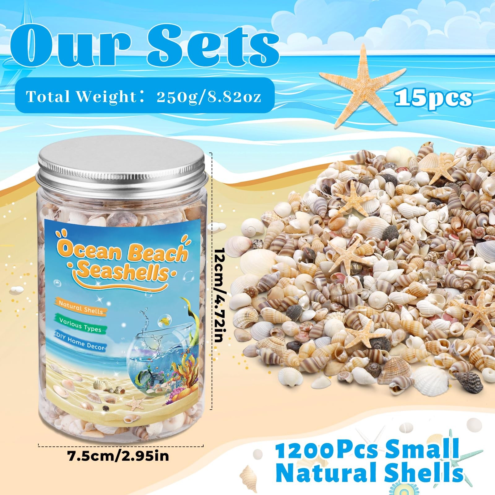 1200 Pcs Tiny Sea Shells, Seashells for Crafts with Small Multicolored Shells gallery
